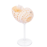 Multi Cocktail Glass