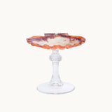 Scallop Shell Glass