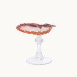 Scallop Shell Glass