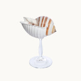 Striped Champagne Glass