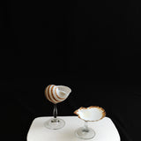 Scallop Shell Glass