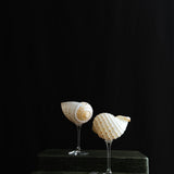 Multi Cocktail Glass
