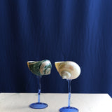 Sea Dream Glass