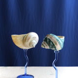 Sea Dream Glass
