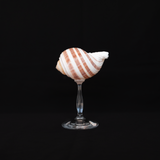 Striped Champagne Glass